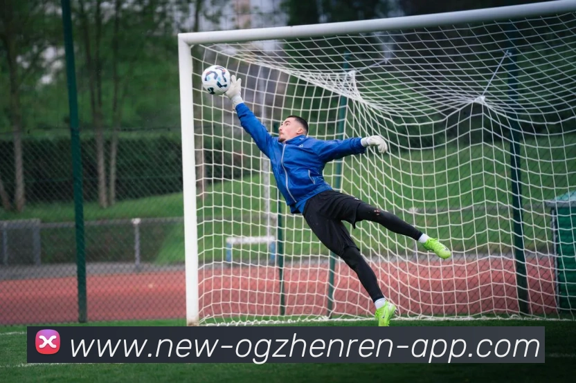 OG真人APP 高清赛事图